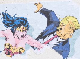 cartoon donald trump punched by wonder woman